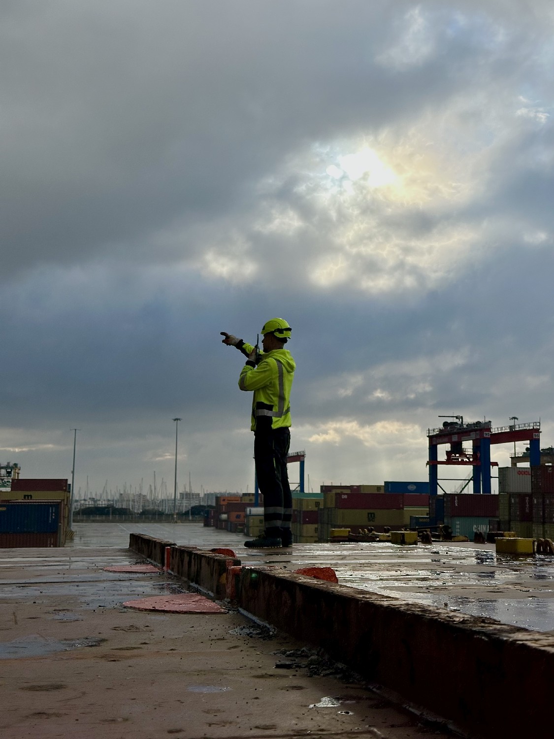 Trincador frente a un mar de nubes